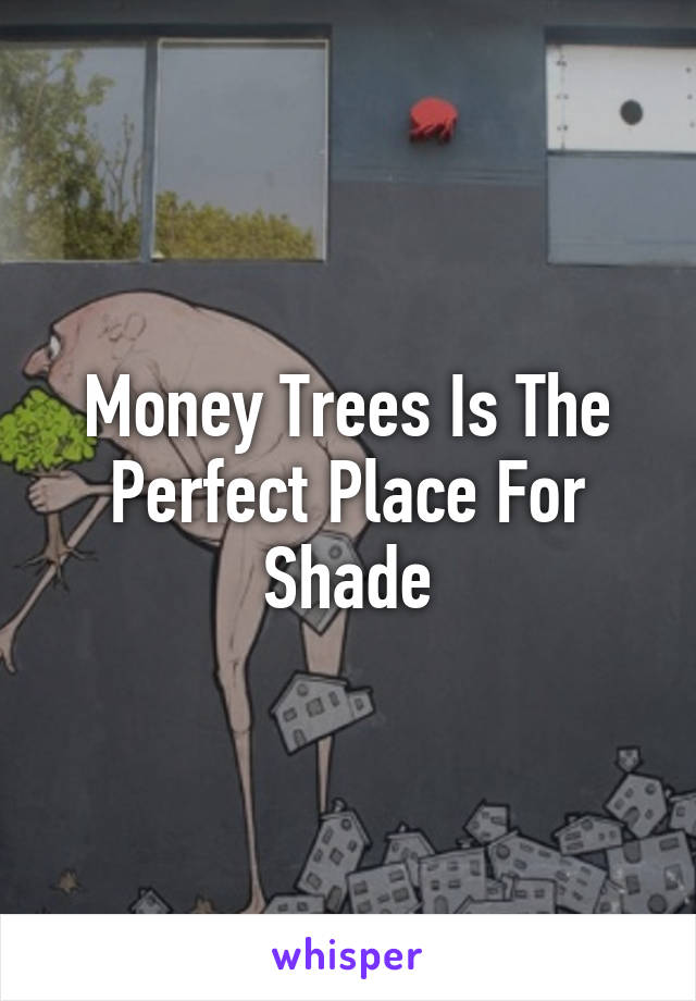 Money Trees Is The Perfect Place For Shade