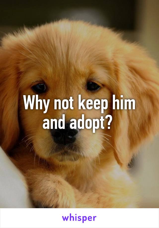 Why not keep him and adopt? 