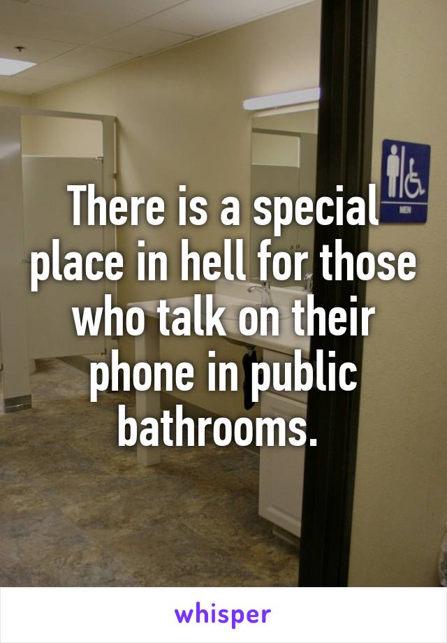 There is a special place in hell for those who talk on their phone in public bathrooms. 