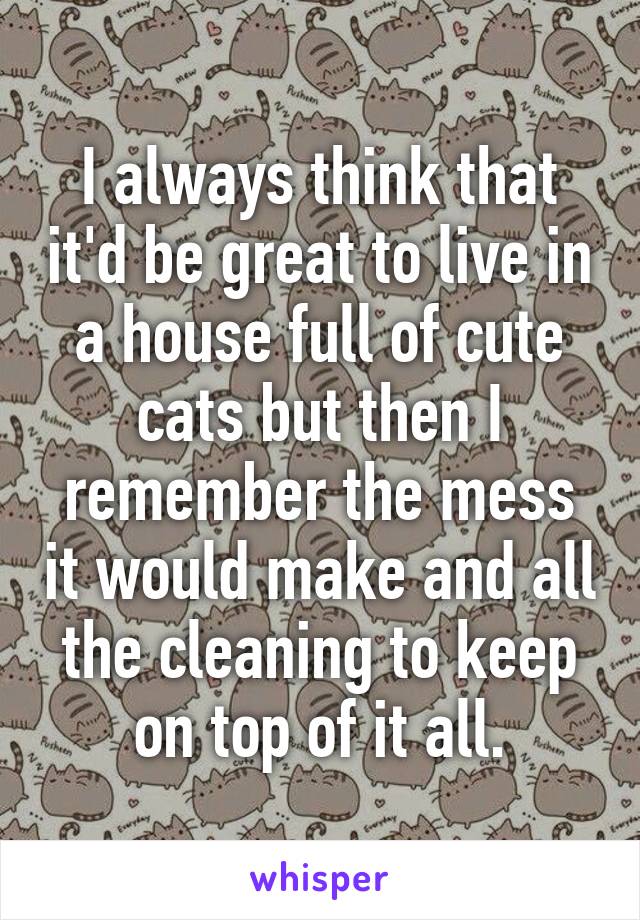 I always think that it'd be great to live in a house full of cute cats but then I remember the mess it would make and all the cleaning to keep on top of it all.