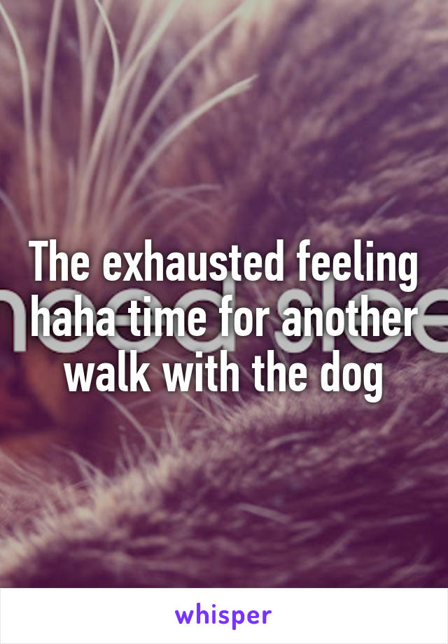 The exhausted feeling haha time for another walk with the dog