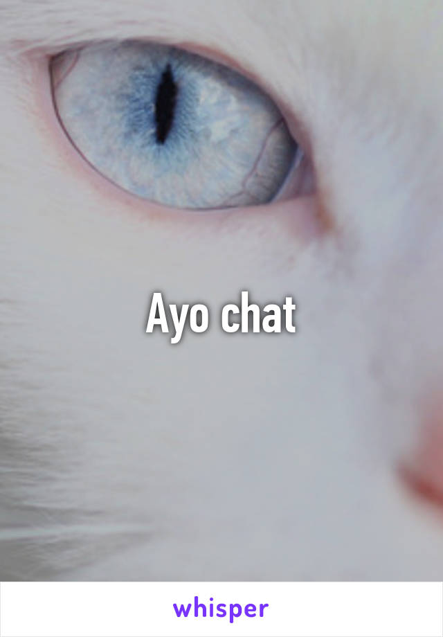 Ayo chat