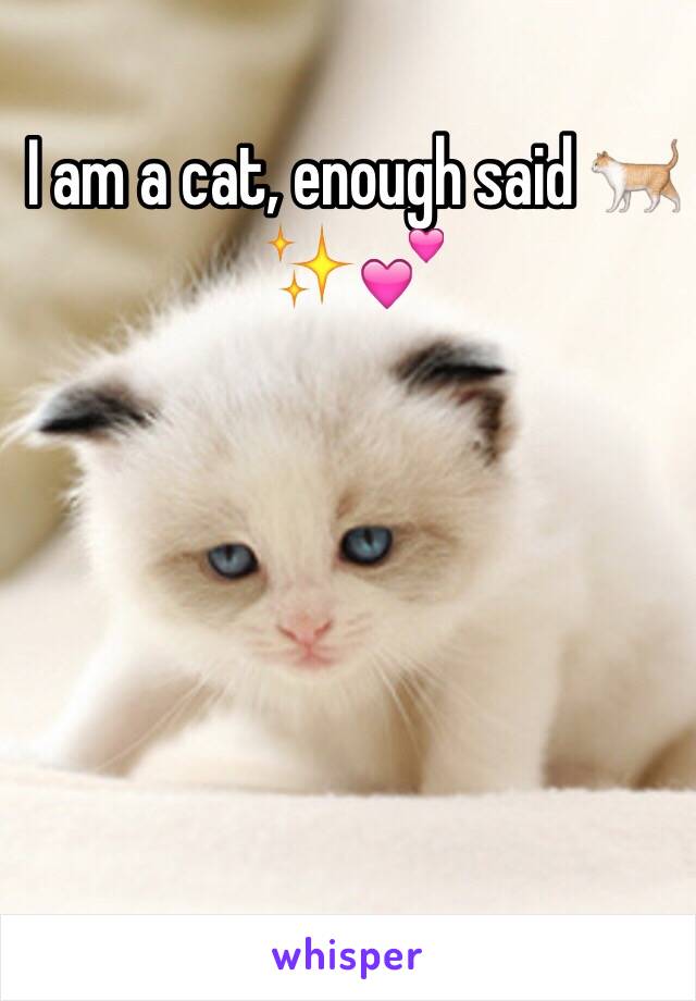 I am a cat, enough said 🐈✨💕