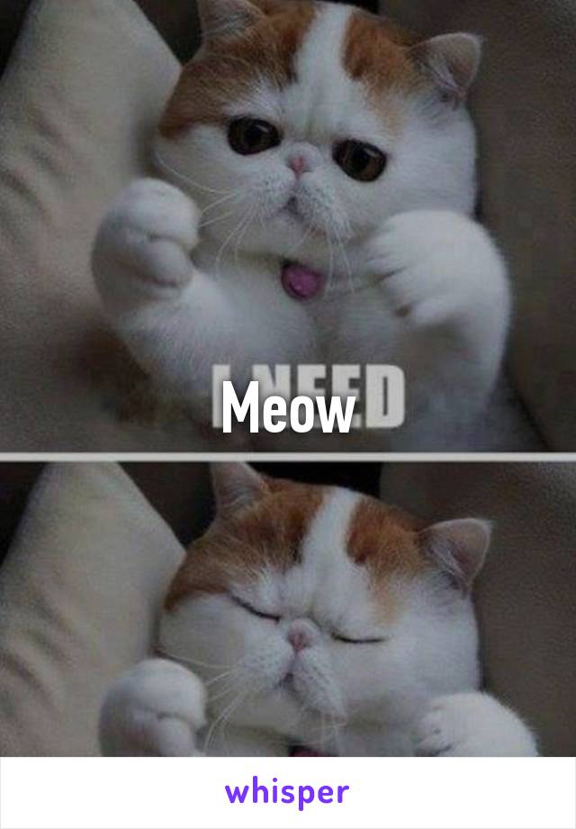 Meow