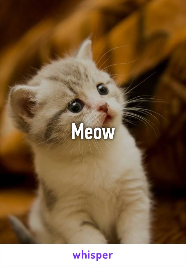 Meow