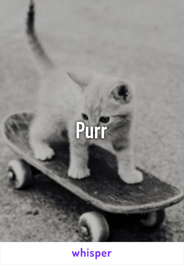 Purr