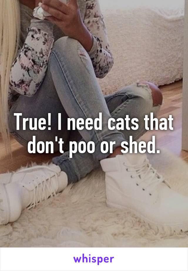 True! I need cats that don't poo or shed.