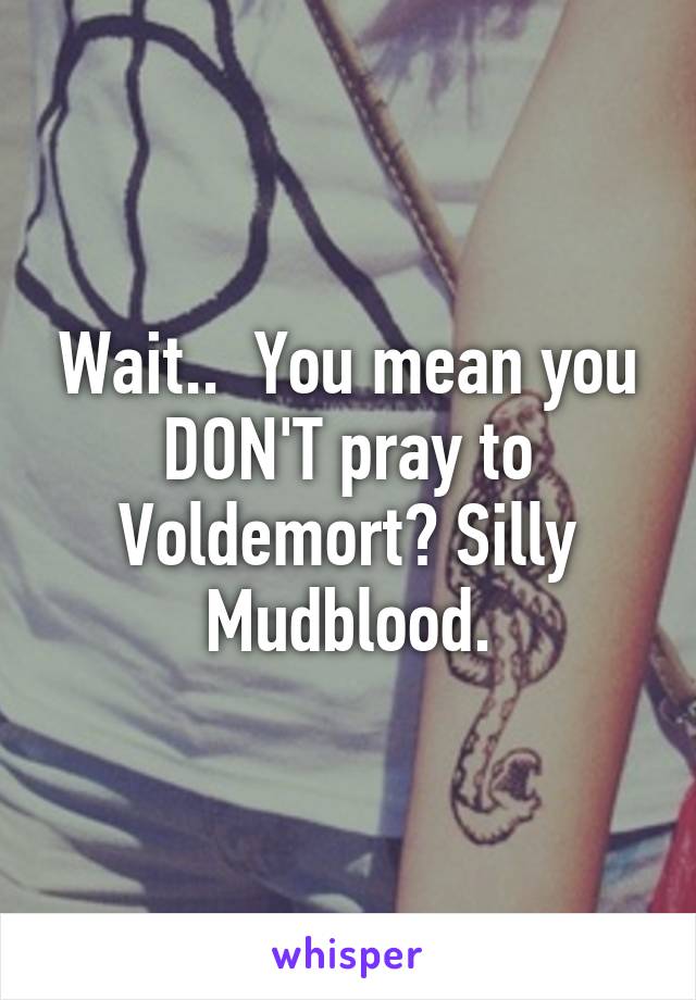 Wait..  You mean you DON'T pray to Voldemort? Silly Mudblood.