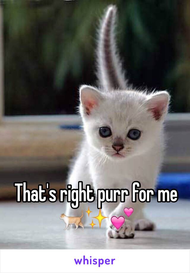 That's right purr for me 🐈✨💕