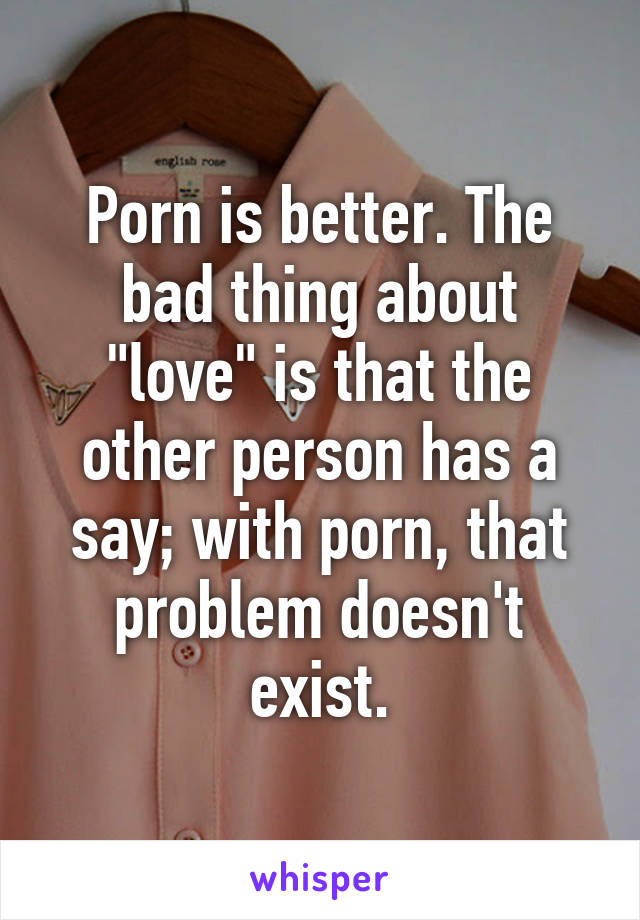 Porn is better. The bad thing about "love" is that the other person has a say; with porn, that problem doesn't exist.