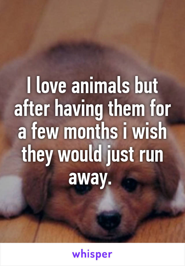 I love animals but after having them for a few months i wish they would just run away. 