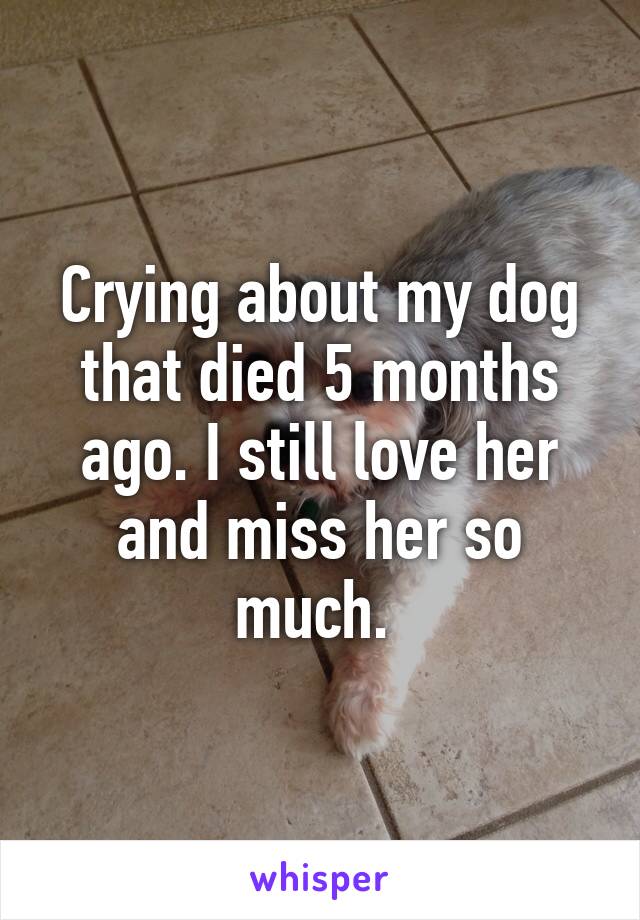 Crying about my dog that died 5 months ago. I still love her and miss her so much. 