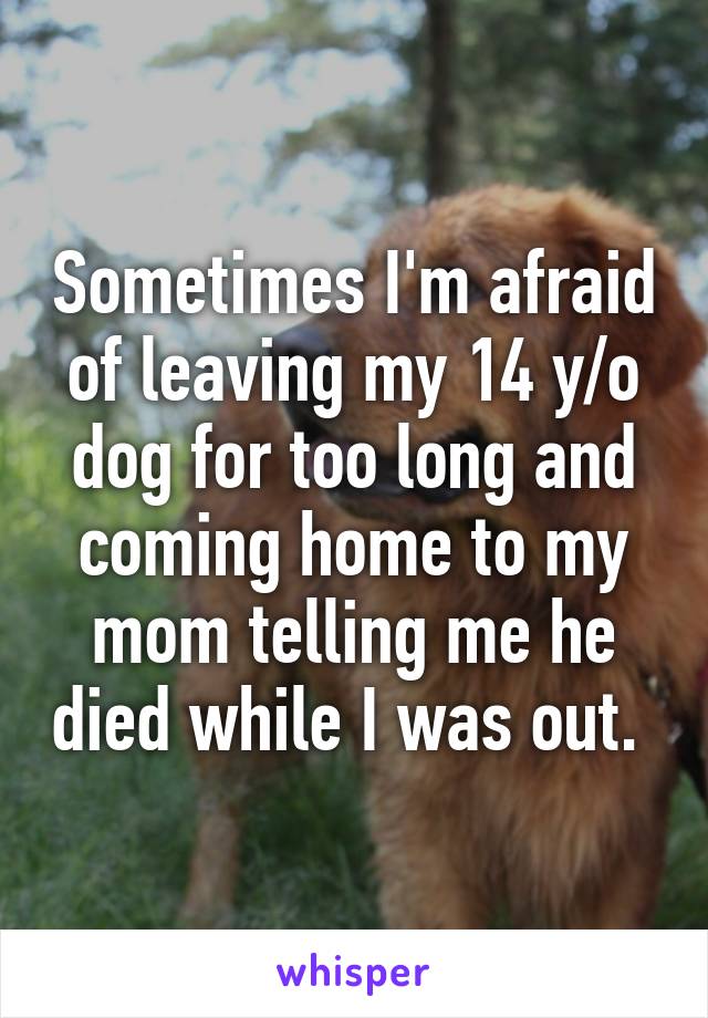 Sometimes I'm afraid of leaving my 14 y/o dog for too long and coming home to my mom telling me he died while I was out. 