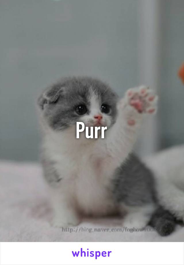 Purr