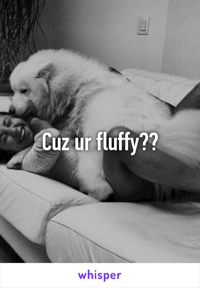 Cuz ur fluffy??