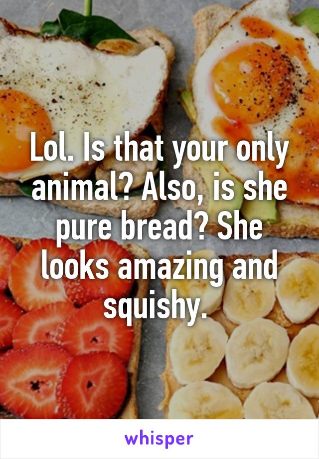 Lol. Is that your only animal? Also, is she pure bread? She looks amazing and squishy. 