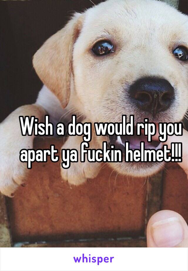 Wish a dog would rip you apart ya fuckin helmet!!!