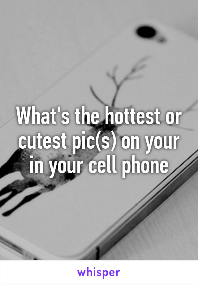 What's the hottest or cutest pic(s) on your in your cell phone