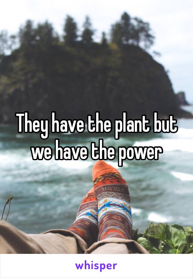 They have the plant but we have the power