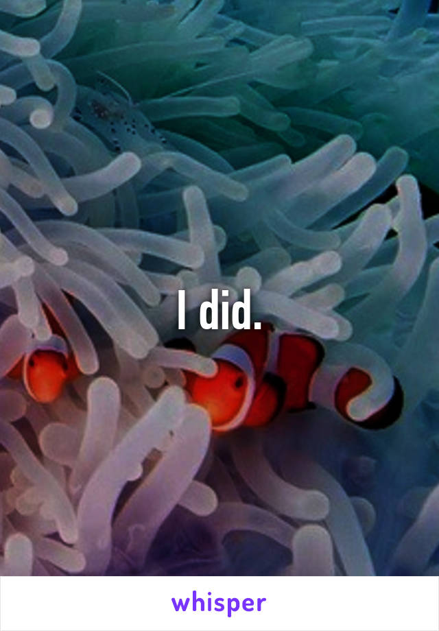 I did.