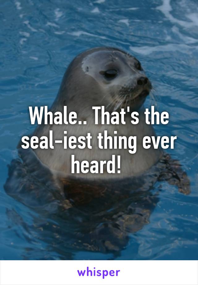 Whale.. That's the seal-iest thing ever heard! 