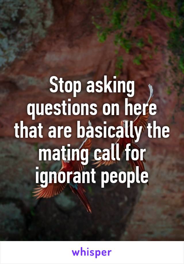 Stop asking questions on here that are basically the mating call for ignorant people