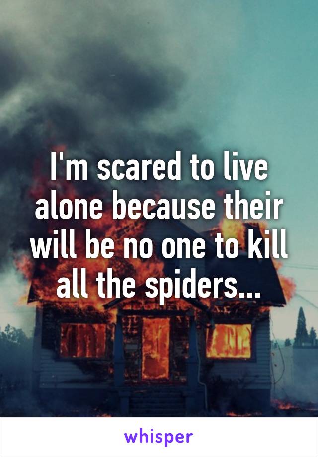 I'm scared to live alone because their will be no one to kill all the spiders...