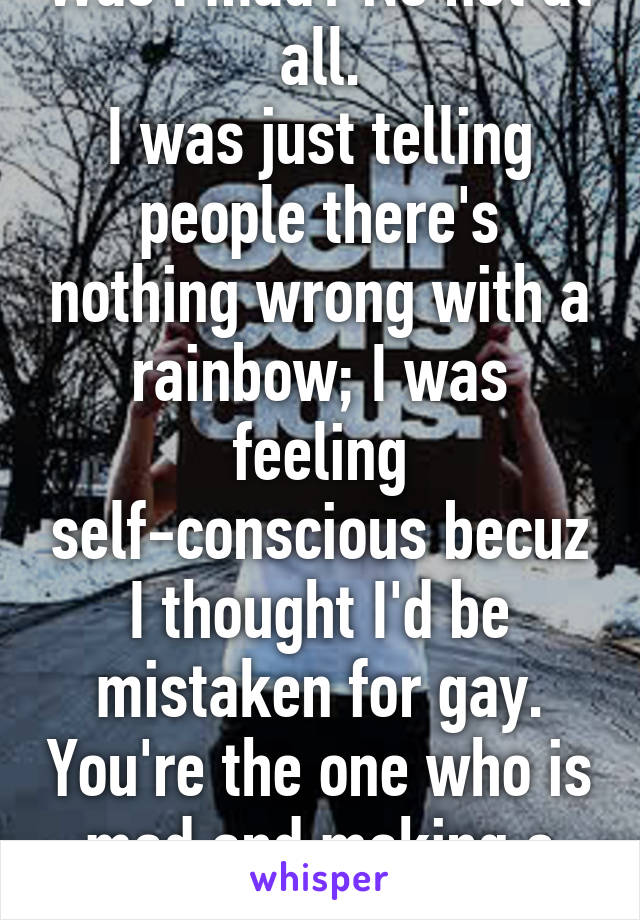 Was I mad? No not at all.
I was just telling people there's nothing wrong with a rainbow; I was feeling self-conscious becuz I thought I'd be mistaken for gay. You're the one who is mad and making a big deal! 