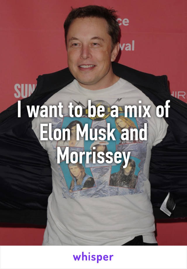 I want to be a mix of Elon Musk and Morrissey