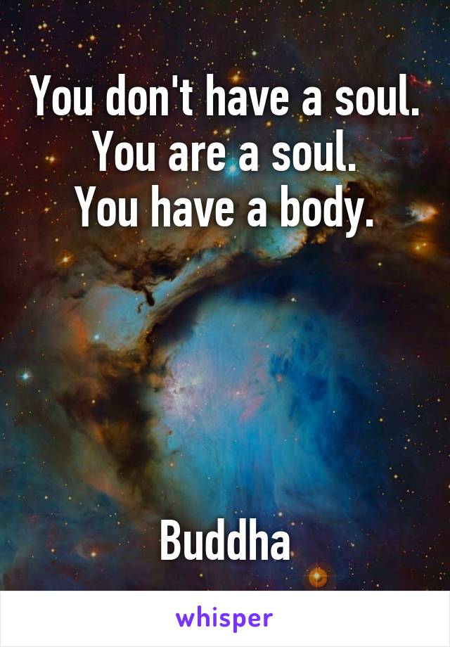 You don't have a soul.
You are a soul.
You have a body.





Buddha