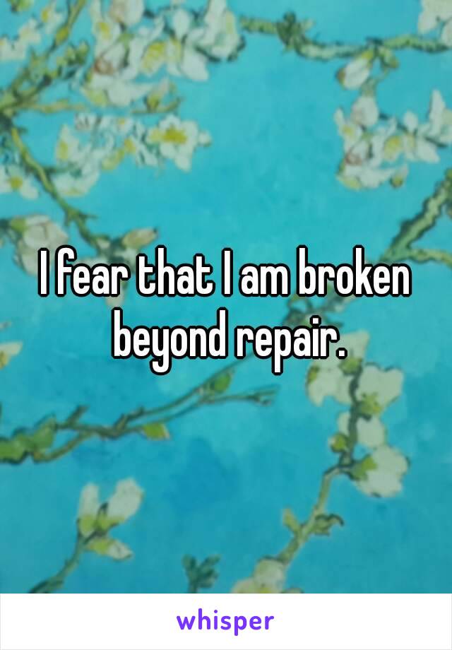 I fear that I am broken beyond repair.