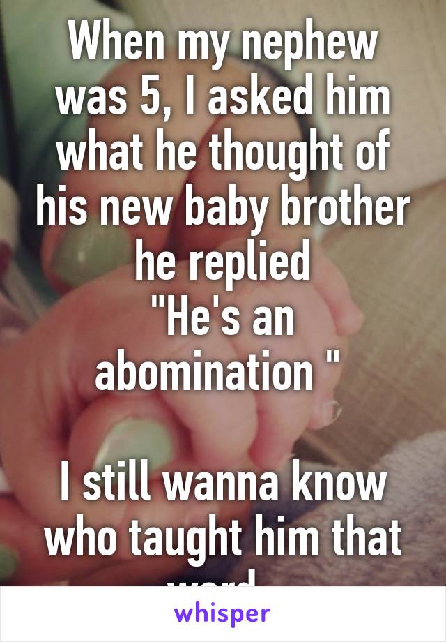 When my nephew was 5, I asked him what he thought of his new baby brother he replied
"He's an abomination " 

I still wanna know who taught him that word. 