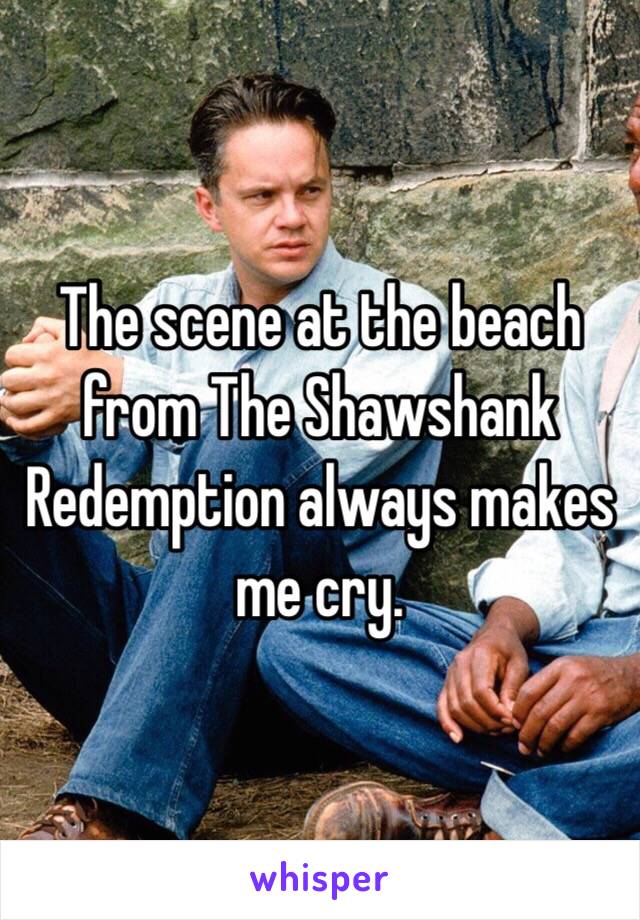 The scene at the beach from The Shawshank Redemption always makes me cry. 