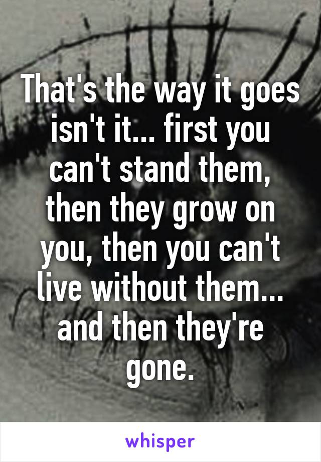 That's the way it goes isn't it... first you can't stand them, then they grow on you, then you can't live without them... and then they're gone.