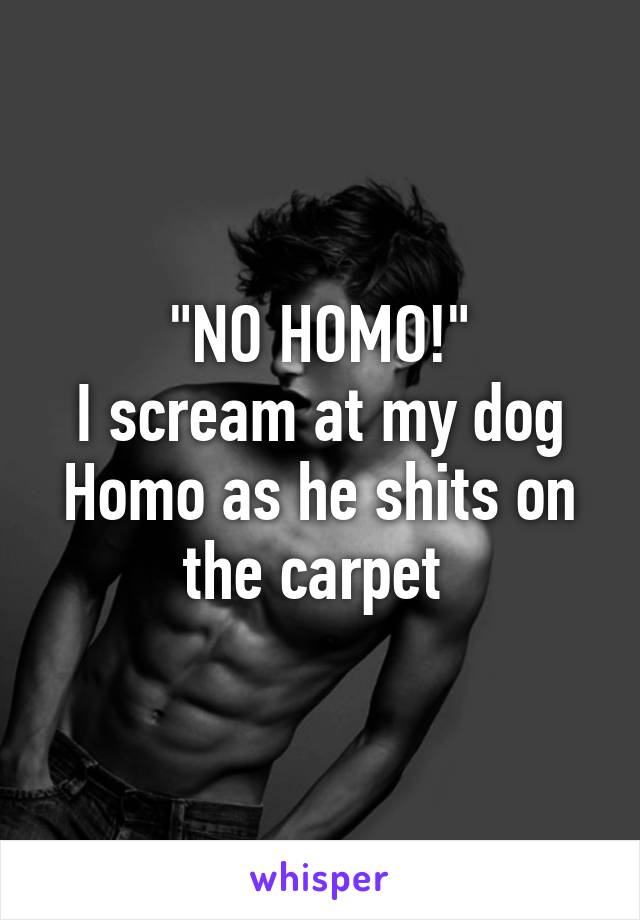 "NO HOMO!"
I scream at my dog Homo as he shits on the carpet 