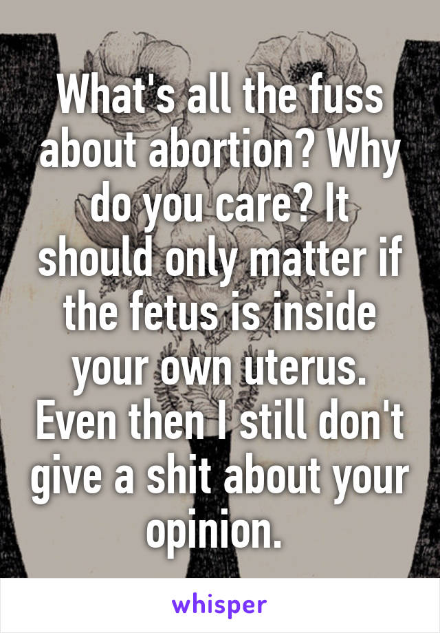 What's all the fuss about abortion? Why do you care? It should only matter if the fetus is inside your own uterus. Even then I still don't give a shit about your opinion. 