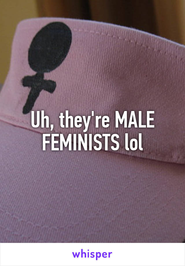 Uh, they're MALE FEMINISTS lol