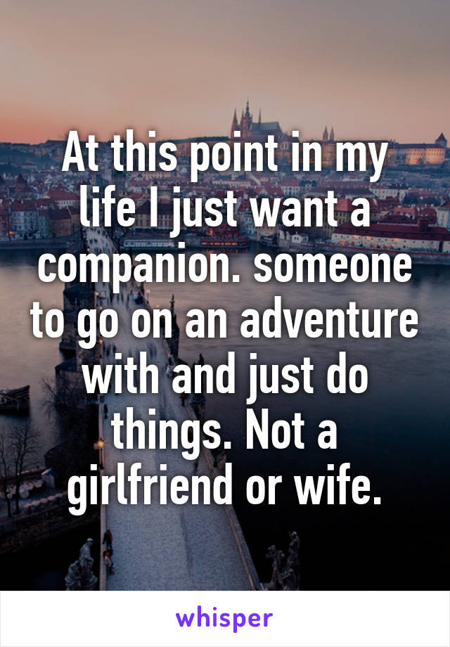 At this point in my life I just want a companion. someone to go on an adventure with and just do things. Not a girlfriend or wife.