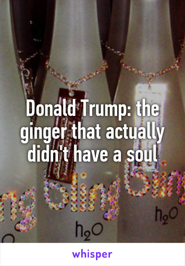 Donald Trump: the ginger that actually didn't have a soul