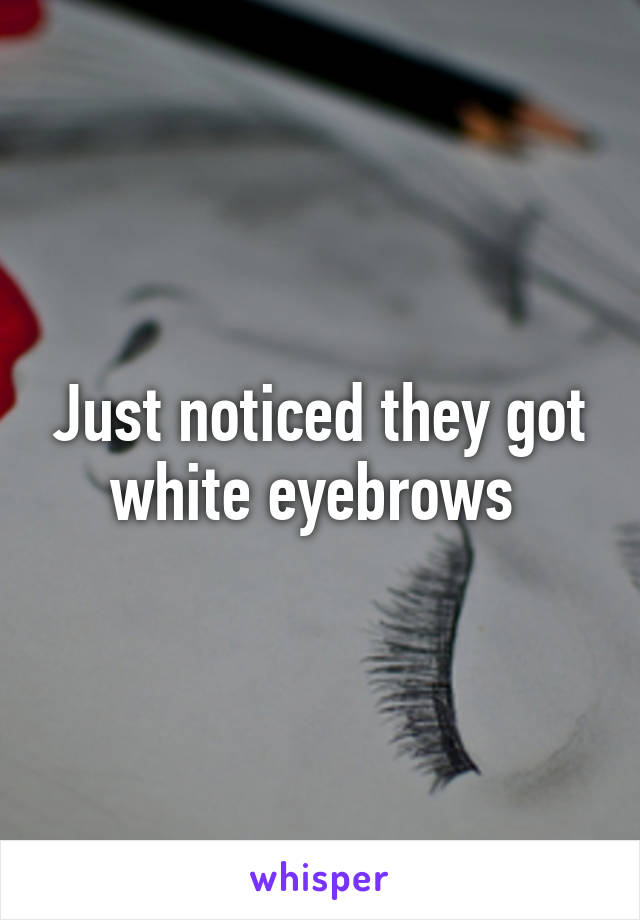 Just noticed they got white eyebrows 