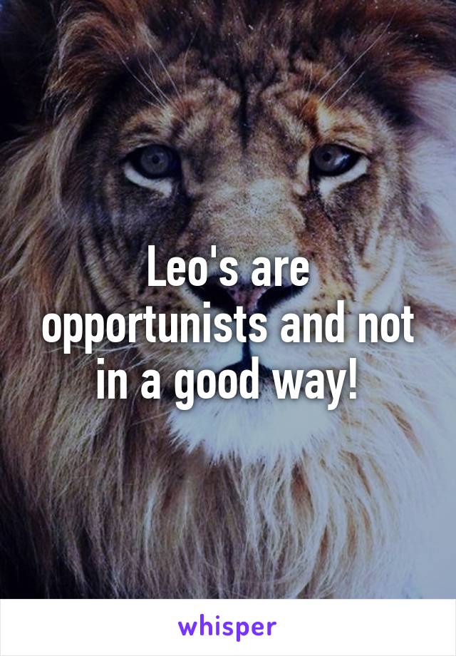 Leo's are opportunists and not in a good way!