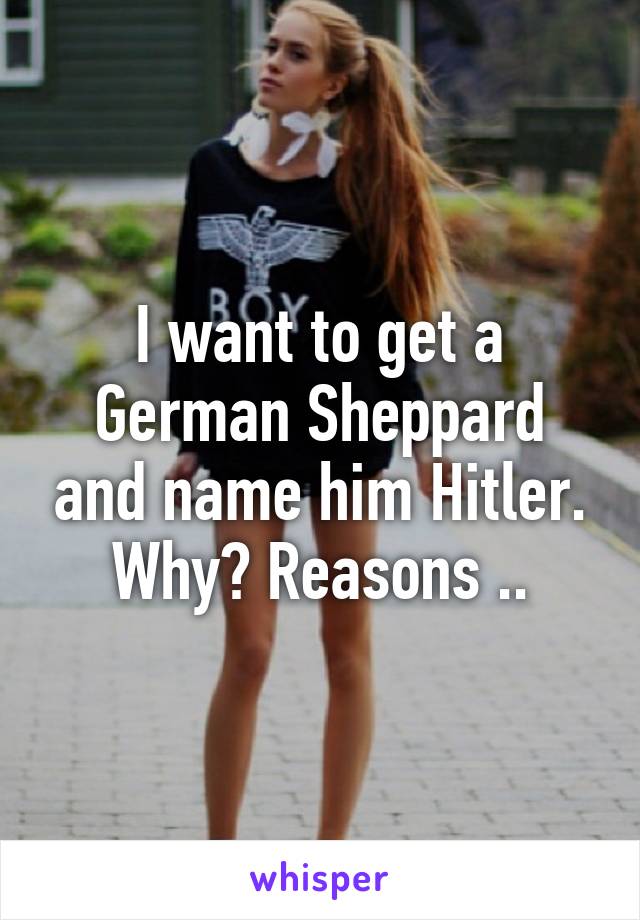 I want to get a German Sheppard and name him Hitler. Why? Reasons ..