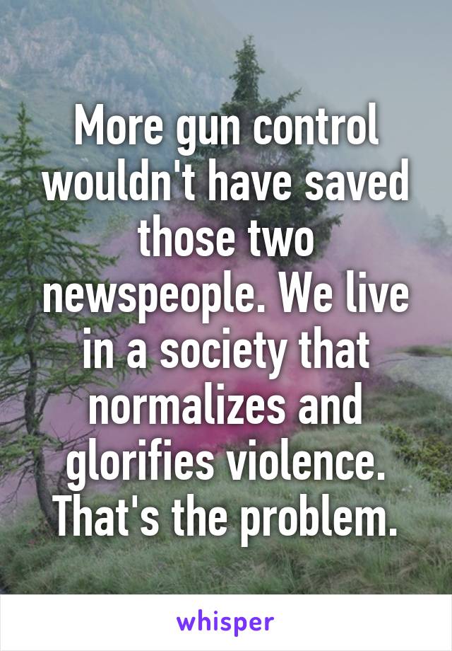 More gun control wouldn't have saved those two newspeople. We live in a society that normalizes and glorifies violence. That's the problem.