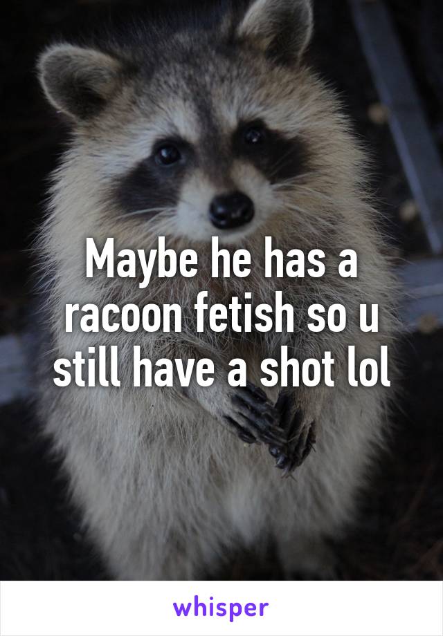 Maybe he has a racoon fetish so u still have a shot lol