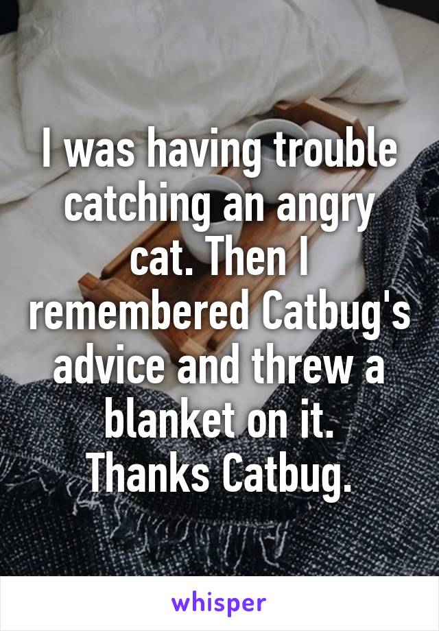 I was having trouble catching an angry cat. Then I remembered Catbug's advice and threw a blanket on it.
Thanks Catbug.