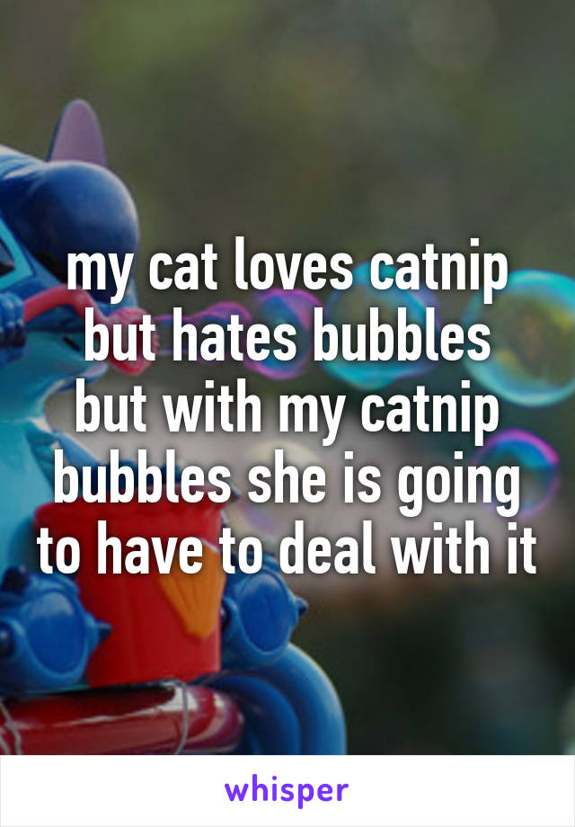 my cat loves catnip but hates bubbles
but with my catnip bubbles she is going to have to deal with it