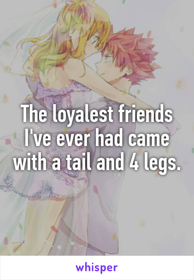 The loyalest friends I've ever had came with a tail and 4 legs.