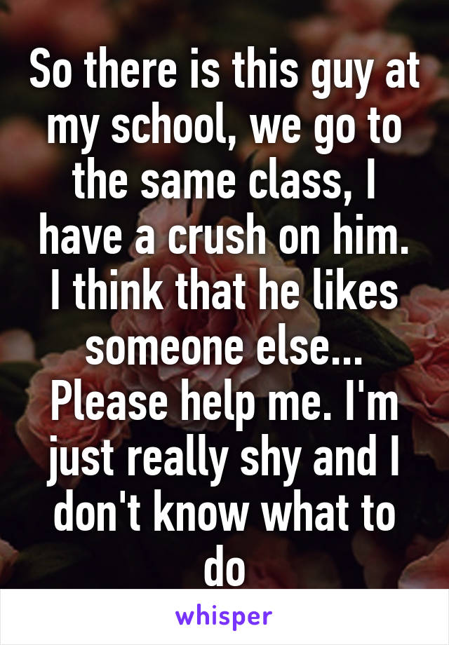 So there is this guy at my school, we go to the same class, I have a crush on him. I think that he likes someone else...
Please help me. I'm just really shy and I don't know what to do