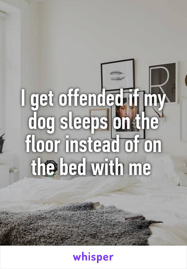 I get offended if my dog sleeps on the floor instead of on the bed with me 