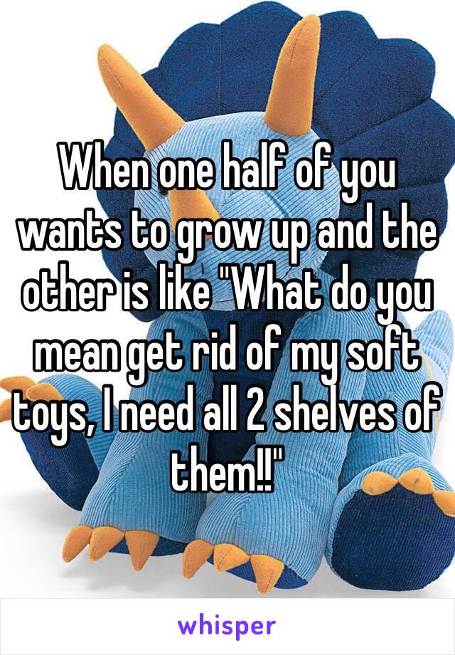 When one half of you wants to grow up and the other is like "What do you mean get rid of my soft toys, I need all 2 shelves of them!!"